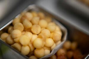 Macadamia